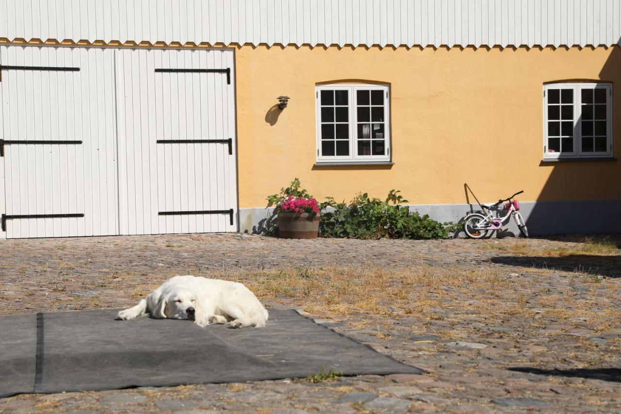 Amarksgard Guesthouse Lille Skensved エクステリア 写真